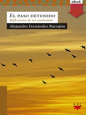 cover image of El paso detenido